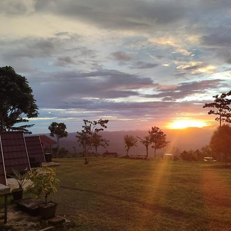 Bugo Camp Glamping & Natural Activity Munduk Extérieur photo