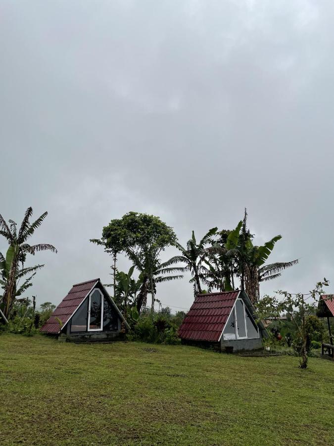 Bugo Camp Glamping & Natural Activity Munduk Extérieur photo