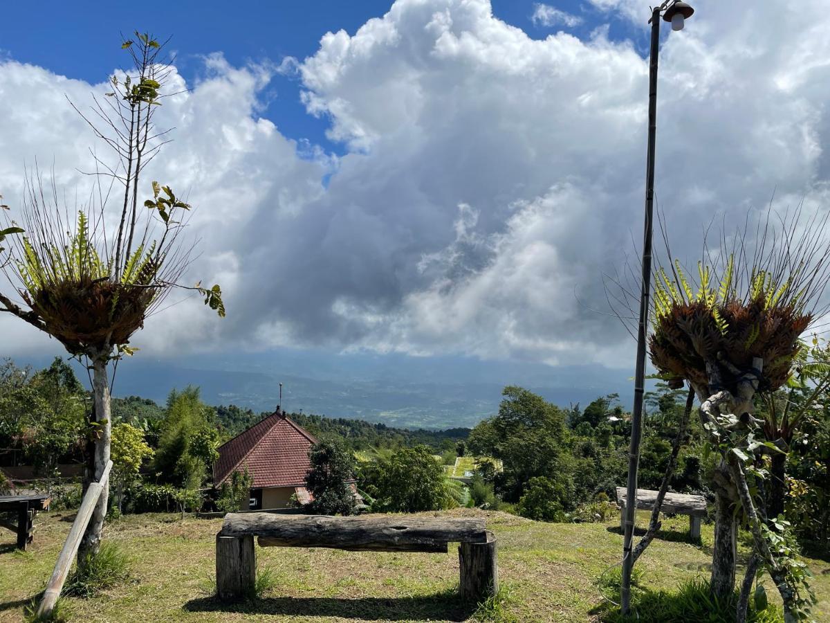 Bugo Camp Glamping & Natural Activity Munduk Extérieur photo