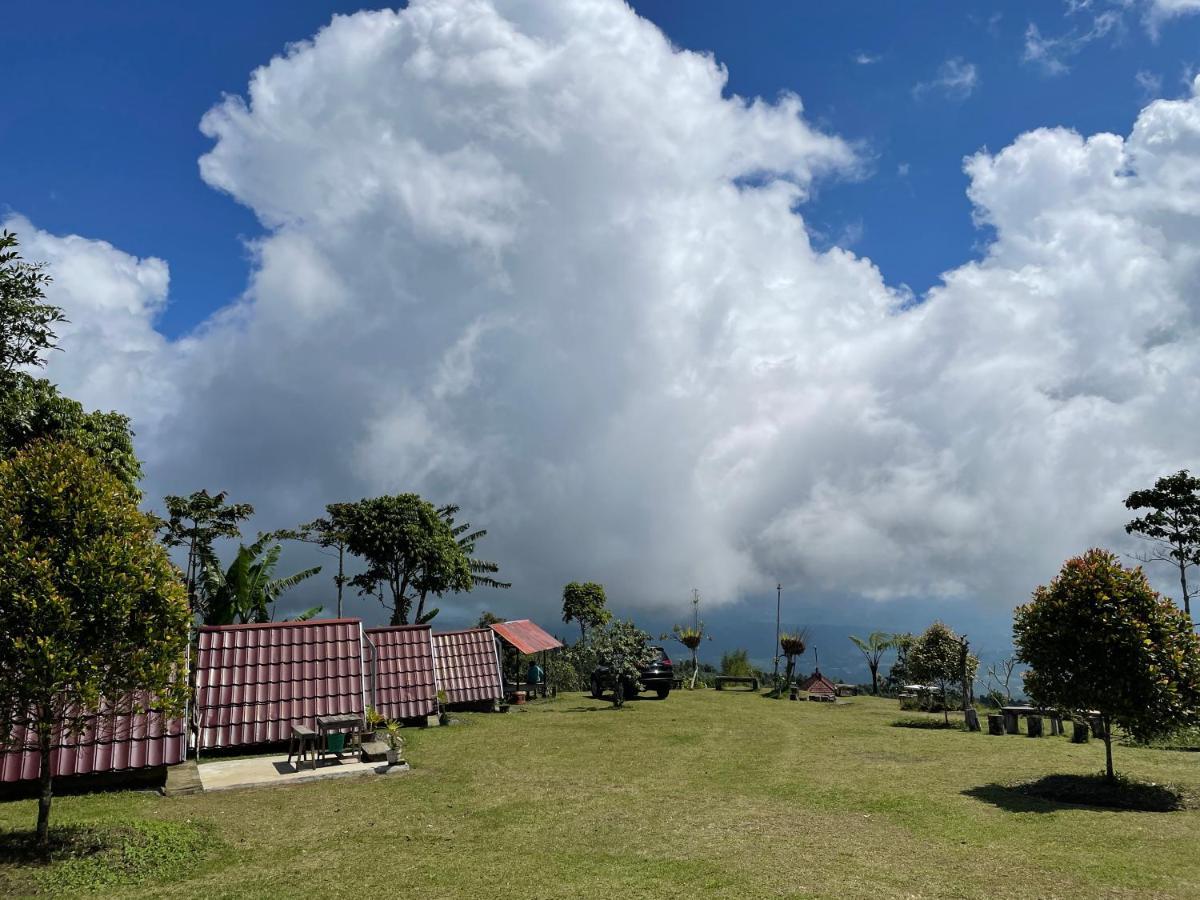 Bugo Camp Glamping & Natural Activity Munduk Extérieur photo