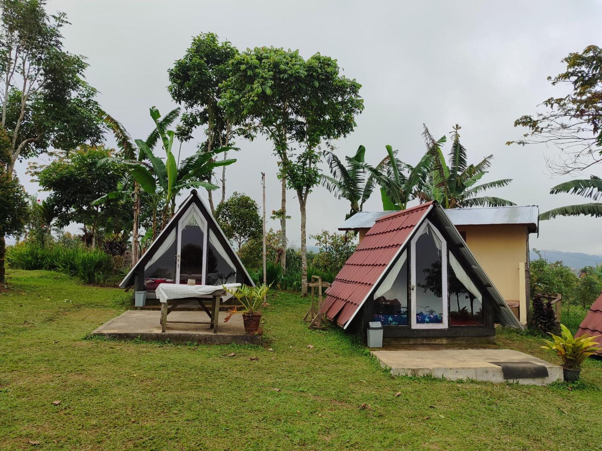 Bugo Camp Glamping & Natural Activity Munduk Extérieur photo