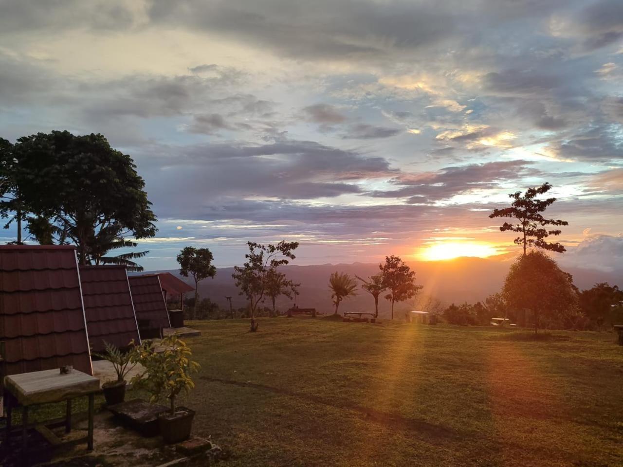 Bugo Camp Glamping & Natural Activity Munduk Extérieur photo